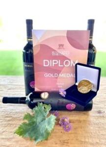 Merul Mavrud získal zlatú medailu na Muvina 2023